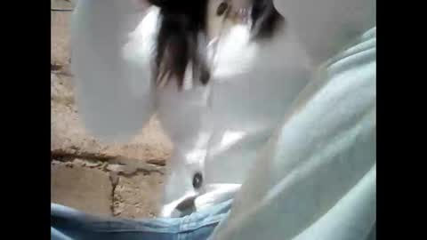 Snapshot of urpinaymorena chatting on 11-25-25, 08:36 Aleah online show from 11-25-25, 08:36