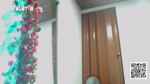 Snapshot of valeria032 chatting on 05-01-26, 11:31 valeria online show from 05-01-26, 11:31
