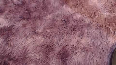 valery carter01 online show from 02-03-26, 02:53