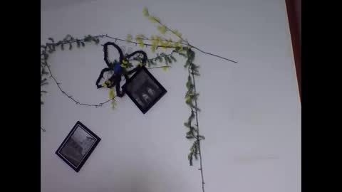 valery_honey_ online show from 06-02-26, 01:18