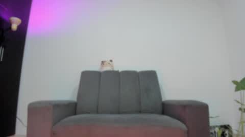 Snapshot of vandalovee chatting on 05-25-26, 09:48 Babi Alu online show from 05-25-26, 09:48