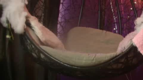 Vanelope online show from 11-28-25, 07:16