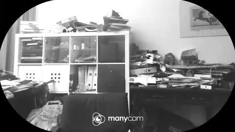 vejun2025 online show from 09-11-25, 07:47