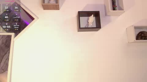 Isabella online show from 04-01-26, 08:39