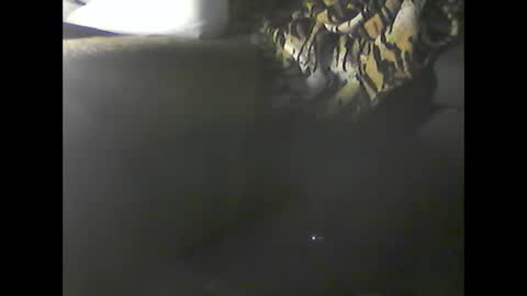 Snapshot of verdogan chatting on 12-20-24, 02:52 Im DanielVerdo 25 years old Lets have Fun and just ask what wanne know tnew anal bigock cum slave fullnaked online show from 12-20-24, 02:52