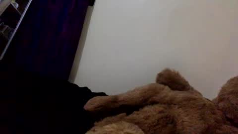 DarkBerryBliss online show from 04-13-26, 10:04