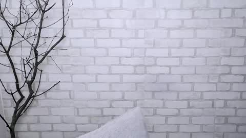 Ana online show from 03-06-25, 11:25