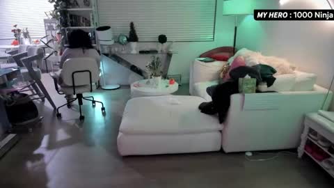 vesafine online show from 11-29-25, 07:00