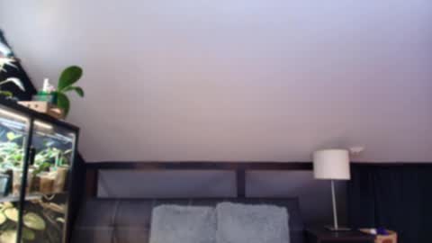 vevelicious online show from 05-02-26, 06:24