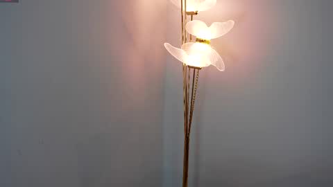 Sophie and Stan  online show from 04-09-26, 06:19