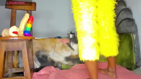 Snapshot of vicky_hotteei chatting on 06-25-26, 04:34 vicky manuela online show from 06-25-26, 04:34
