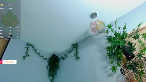 Victoria   online show from 01-27-25, 11:22