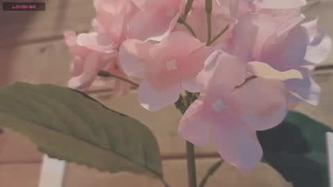 Snapshot of vickyvalencia2 chatting on 07-19-26, 12:25 vickyvalencia2 online show from 07-19-26, 12:25