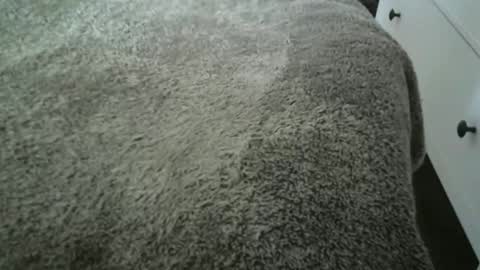 Vidalter online show from 11-20-25, 08:25