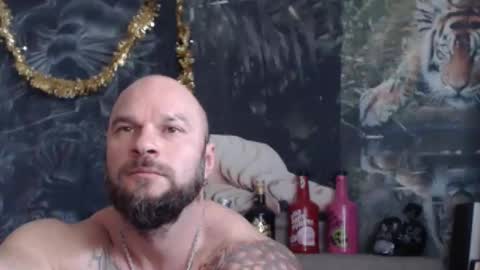 viking online show from 03-28-26, 08:14