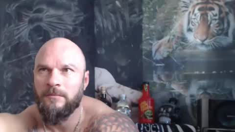 Snapshot of viking_me chatting on 04-22-26, 06:38 viking online show from 04-22-26, 06:38