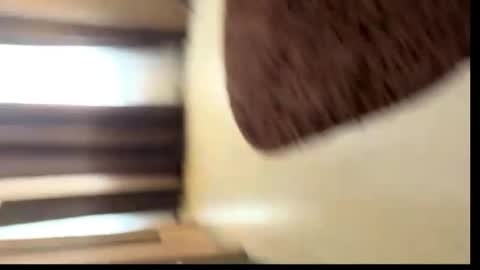 Snapshot of viktoriya_kreyzi chatting on 05-31-26, 03:41 viktoriya_kreyzi online show from 05-31-26, 03:41