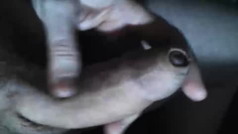   online show from 10-30-25, 07:36