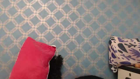 Snapshot of violeta_cute18 chatting on 01-10-25, 10:15 Violeta online show from 01-10-25, 10:15