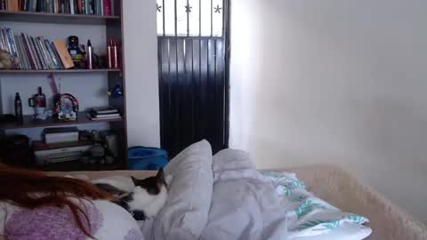 Violeta Peter online show from 02-23-25, 08:33