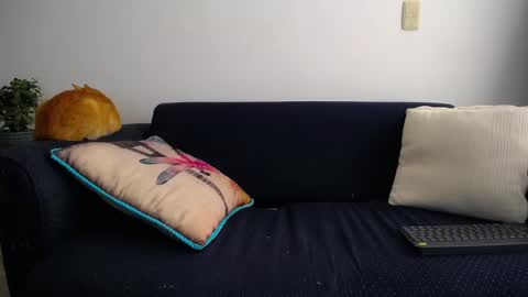 Violeta Gmez online show from 03-11-25, 08:53