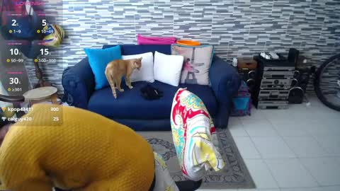 Violeta Gmez online show from 04-01-26, 04:37