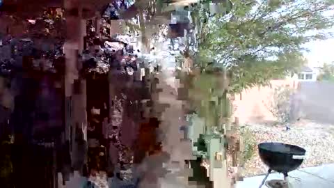 Omoje Ultra Mega online show from 04-26-26, 10:51