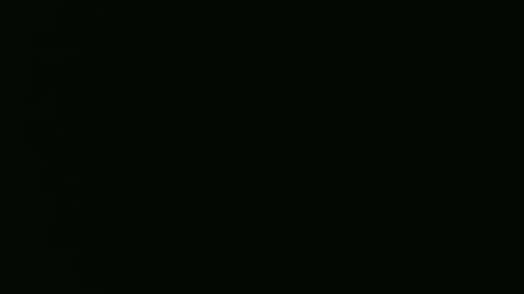 Vivian online show from 12-21-24, 11:13