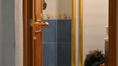 Snapshot of vixensixx chatting on 07-01-26, 06:15 vixensixx online show from 07-01-26, 06:15