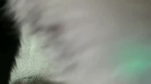 Daniel online show from 02-28-25, 07:56