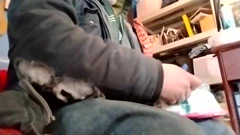 Snapshot of waffywaff77 chatting on 01-12-25, 11:58 waffywaff77 online show from 01-12-25, 11:58