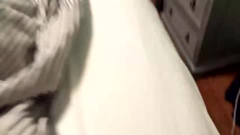 wannacam237 online show from 04-21-26, 08:01