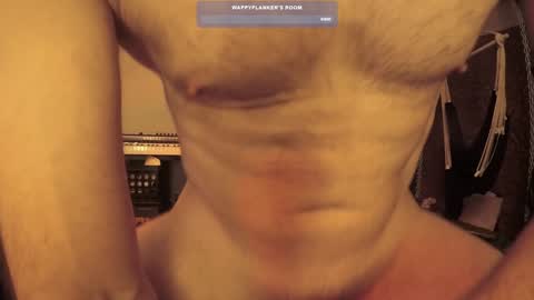 wappyflanker online show from 12-11-24, 02:54