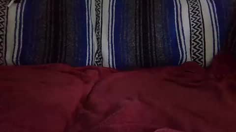 Snapshot of warishcow chatting on 12-11-24, 12:02 Warishcow online show from 12-11-24, 12:02