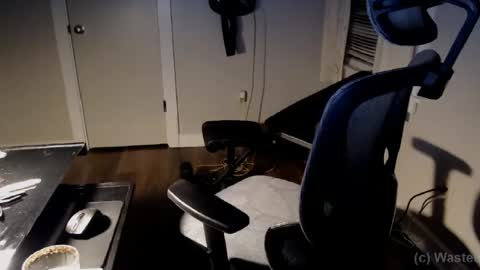 wasted_daze_ online show from 01-20-25, 11:32
