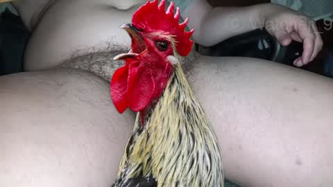 Snapshot of watcher_9 chatting on 12-24-24, 11:33 classified online show from 12-24-24, 11:33