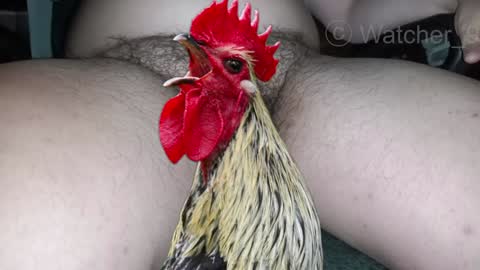 Snapshot of watcher_9 chatting on 12-29-24, 01:34 classified online show from 12-29-24, 01:34