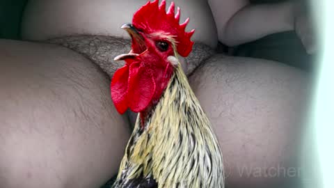 Snapshot of watcher_9 chatting on 10-07-25, 08:17 classified online show from 10-07-25, 08:17