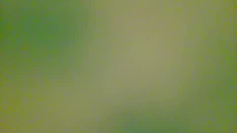 Snapshot of watchplaycum chatting on 10-08-25, 11:24 watchplaycum online show from 10-08-25, 11:24