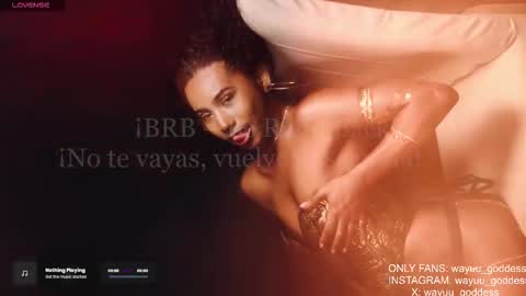 Wayuu Goddess  3 online show from 11-30-25, 11:14