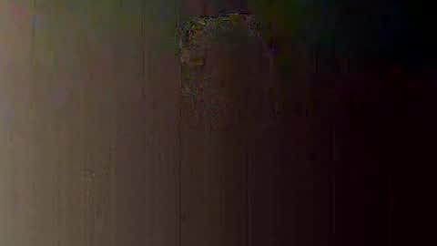 Snapshot of webcumcouple chatting on 05-31-26, 02:20 HayleyJay online show from 05-31-26, 02:20