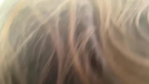 weedwacker43 online show from 03-01-26, 03:25