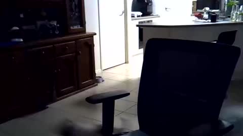 Wellhelloo online show from 02-15-26, 12:36