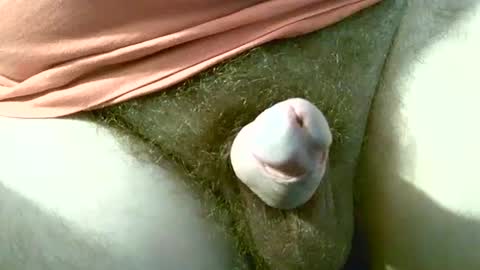 welshstuds online show from 09-30-25, 11:59