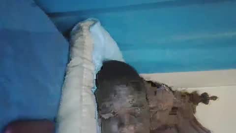 Snapshot of wetcock44 chatting on 12-03-24, 03:41 wetcock44 online show from 12-03-24, 03:41