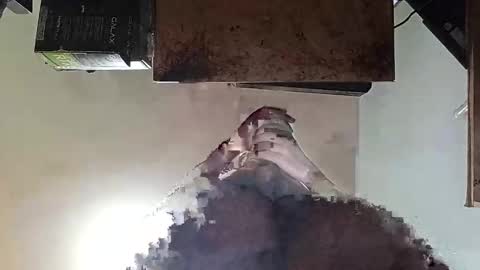 whatsexo online show from 09-19-25, 07:10