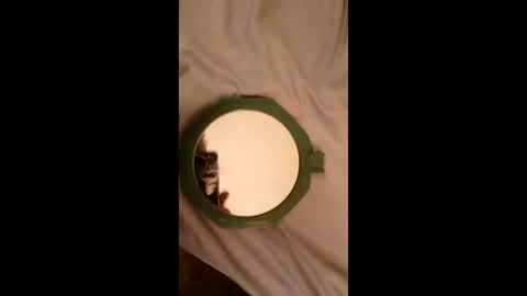 whetedoyouwantmetoputit online show from 03-22-26, 10:02