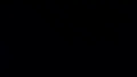 whitehead_lion online show from 01-20-25, 07:57