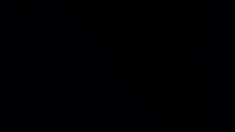 whitehead_lion online show from 02-21-25, 05:31