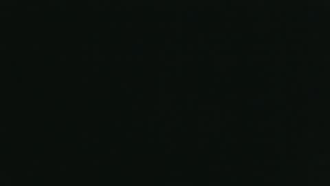 whitehead_lion online show from 10-26-25, 05:52